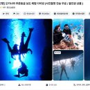오키나와 푸른동굴 투어 다이빙 체험 내돈내산 후기