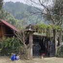 Cat garden | 베트남 여행 | 만화 속에 들어온 듯한 사파 깟깟마을 후기