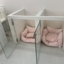 멍그레 이미지