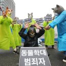 찌리릿 이미지