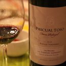 [2008년 10월 정기시음회] Pascual Toso Single Vineyard 2005 이미지