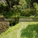 내곡동477 이미지