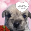 인천축산업협동조합 | 마지막 블로그 포스팅