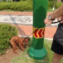 다원동물병원 이미지