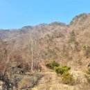 달맞이소공원 네이버블로그