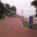 강강술래길 이미지