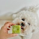 아루실업 이미지