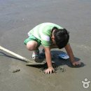 장안해수욕장 Daum카페