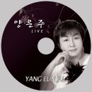 양은주라이브 Daum카페