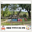 에버랜드 할인 주토피아 리버트레일 워킹 주 스탬프투어 당일 예매 가능할까?