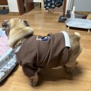 예일세탁소 이미지