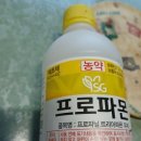 제초제 프로파몬
