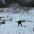 늘푸른캠핑장 이미지