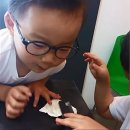 대한안경콘택트 이미지