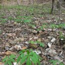 보수농장 이미지