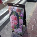 사당역참치맛집 쿠라쿠라참치 후기｜혼마구로·가마도로·룸 식당까지