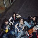 백씨미디어 이미지