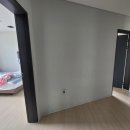 데이바이디 이미지