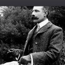 첼로(야간) 이미지