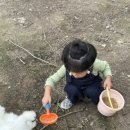 세아농장 이미지