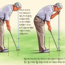 로데오 골프 아카데미 이미지