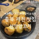 장락로 | [충북 제천] 양갈비살꼬치, 가지튀김 단골집 후기, 장락동 선양양꼬치, 제천찐맛집