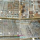 늘봄안경 이미지