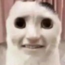 (주)하나알씨 | [식품안전기사] 필기 후기 (2주 벼락치기 성공편)