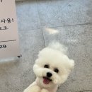 몽아뜨 이미지