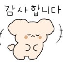 김밥천국원천점 네이버블로그