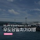 월정리마을회 | [우도 당일치기] 우도 여행 배시간, 하우목동항 타는 법 부터 맛집, 액티비티 코스까지
