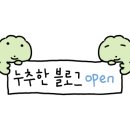 게코스마일