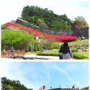 정통옛날쌈밥 이미지