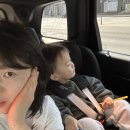 펫펜션 휴 이미지