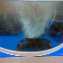 엘오엘테마파크