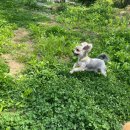 세상 바쁜 5월
