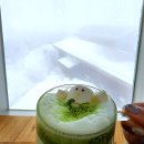 탑카페 | 하이원 탑 구름담 카페 후기｜360도 회전 전망에서 마신 산죽라떼