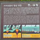 제주 서귀포층 패류화석 산지 | 제주도 화산 초기 흔적을 볼 수 있는 서귀포층 패류화석 산지 국가 지정 자연유산