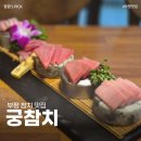 궁참치 이미지
