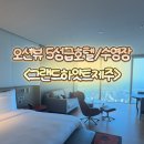 5성급 호캉스 그랜드하얏트제주, 오션뷰 킹룸, 인피니티풀, 룸서비스 후기