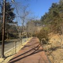 GR(합천군)-[가야산로]-하-3 | [경남] 합천 1박 2일 여행 : 합천영상테마파크, 머물당 글램핑 , 해인사