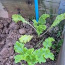 문산농약사 이미지