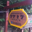 사림농장 이미지