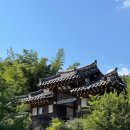 구미숲 | 구미 한옥카페 &#39;너와 숲&#39; 다녀온 후기