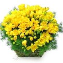 소용경로당 이미지