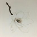 보태니컬 아트 이미지