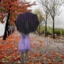 비극의 서막 / 가을비 우산속 이미지