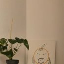 자파리203 이미지