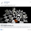 카리타스작은도서관 | 동물원 밖이 궁금해진 회사원