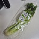 셀러리 | [후기 이유식] 베이비무브 셀러리(샐러리) 큐브